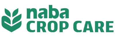 Nabil Group